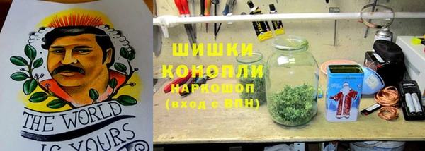 Альфа ПВП Аркадак