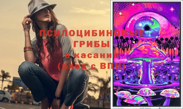 Альфа ПВП Аркадак