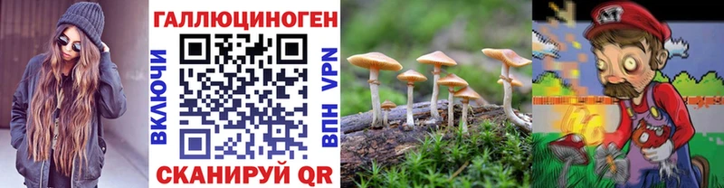 купить наркотик  Покров  Галлюциногенные грибы мицелий 